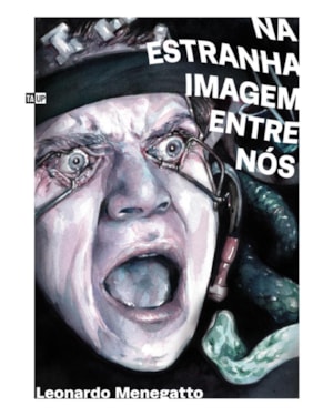 NA ESTRANHA IMAGEM ENTRE NÓS