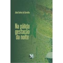 NA PÁLIDA GESTAÇÃO DA NOITE