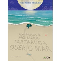 NA PRAIA E NO LUAR, TARTARUGA QUER O MAR