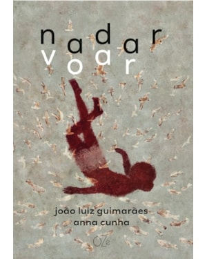 NADAR VOAR