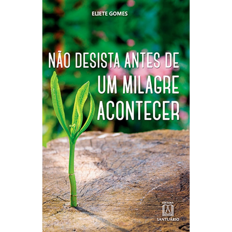 NÃO DESISTA ANTES DE UM MILAGRE ACONTECER 