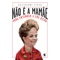 NÃO É A MAMÃE: PARA ENTENDER A ERA DILMA: PARA ENTENDER A ERA DILMA