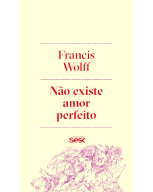 NÃO EXISTE AMOR PERFEITO