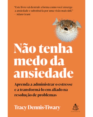 NÃO TENHA MEDO DA ANSIEDADE: APRENDA A ADMINISTRAR O ESTRESSE E A TRANSFORMÁ-LO EM ALIADO NA RESOLUÇÃO DE PROBLEMAS