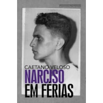 NARCISO EM FÉRIAS