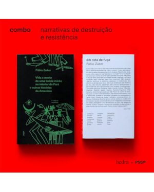 NARRATIVAS DE DESTRUIÇÃO E RESISTÊNCIA