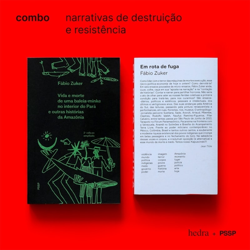 NARRATIVAS DE DESTRUIÇÃO E RESISTÊNCIA