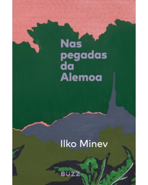 NAS PEGADAS DA ALEMOA