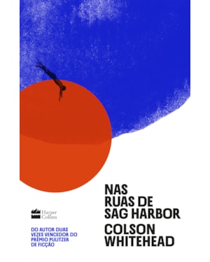 NAS RUAS DE SAG HARBOR - UM ROMANCE DE FORMAÇÃO SOBRE RAÇA, CLASSE E MASCULINIDADE DO VENCEDOR DO PRÊMIO PULITZER