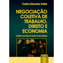 NEGOCIAÇÃO COLETIVA DE TRABALHO, DIREITO E ECONOMIA - PREFÁCIO DE MARCIA CARLA PEREIRA RIBEIRO