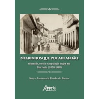 NEGRINHOS QUE POR AHI ANDÃO: EDUCAÇÃO, ESCOLA E POPULAÇÃO NEGRA EM SÃO PAULO (1870-1920)