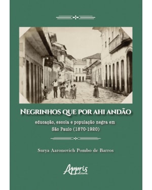 NEGRINHOS QUE POR AHI ANDÃO: EDUCAÇÃO, ESCOLA E POPULAÇÃO NEGRA EM SÃO PAULO (1870-1920)