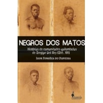 Negros dos matos: Histórias de comunidades quilombolas de Sergipe Del Rey (Séc. XIX)