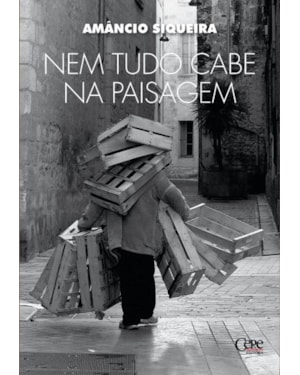 NEM TUDO CABE NA PAISAGEM