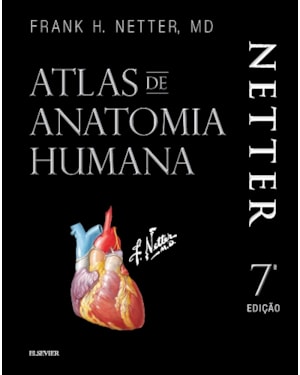 NETTER ATLAS DE ANATOMIA HUMANA