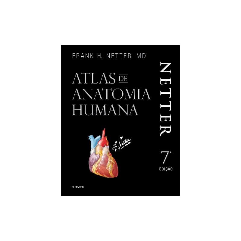 NETTER ATLAS DE ANATOMIA HUMANA