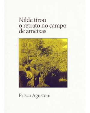 NILDE TIROU O RETRATO NO CAMPO DE AMEIXAS (COLEÇÃO DOS EDITORES, VOL. 3)