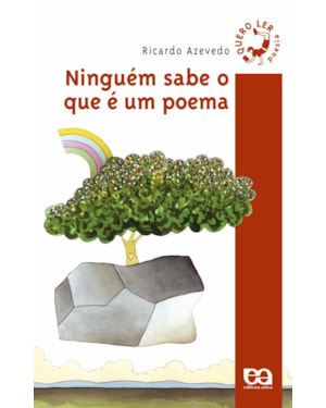 NINGUÉM SABE O QUE É UM POEMA
