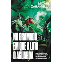 NO GRAMADO EM QUE A LUTA O AGUARDA: ANTIFASCISMO E A DISPUTA PELA DEMOCRACIA NO PALMEIRAS