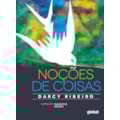 NOÇÕES DE COISAS