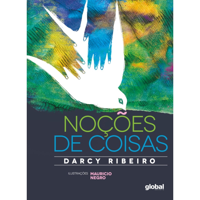 NOÇÕES DE COISAS