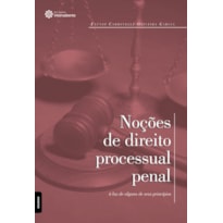 NOÇÕES DE DIREITO PROCESSUAL PENAL À LUZ DE ALGUNS DE SEUS PRINCÍPIOS