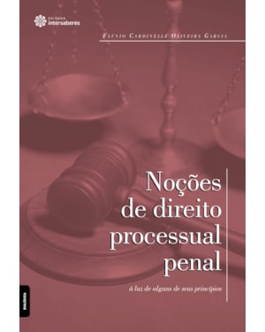 NOÇÕES DE DIREITO PROCESSUAL PENAL À LUZ DE ALGUNS DE SEUS PRINCÍPIOS