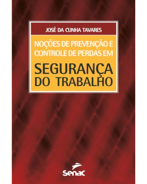 NOÇÕES DE PREVENÇÃO E CONTROLE DE PERDAS EM SEGURANÇA DO TRABALHO