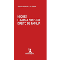 Noções fundamentais do Direito de Família