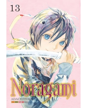 Noragami vol. 13