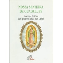 NOSSA SENHORA DE GUADALUPE - NOVENA E HISTÓRIA DAS APARIÇÕES A SÃO JUAN DIE: NOVENA E HISTÓRIA DAS APARIÇÕES A SÃO JUAN DIEGO