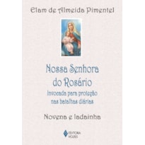 NOSSA SENHORA DO ROSÁRIO: INVOCADA PARA PROTEÇÃO NAS BATALHAS DIÁRIAS - NOVENA E LADAINHA