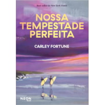 NOSSA TEMPESTADE PERFEITA