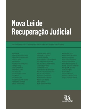 Nova lei de recuperação judicial