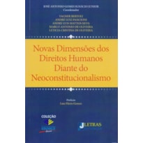 Novas dimensões dos direitos humanos diante do neoconstitucionalismo