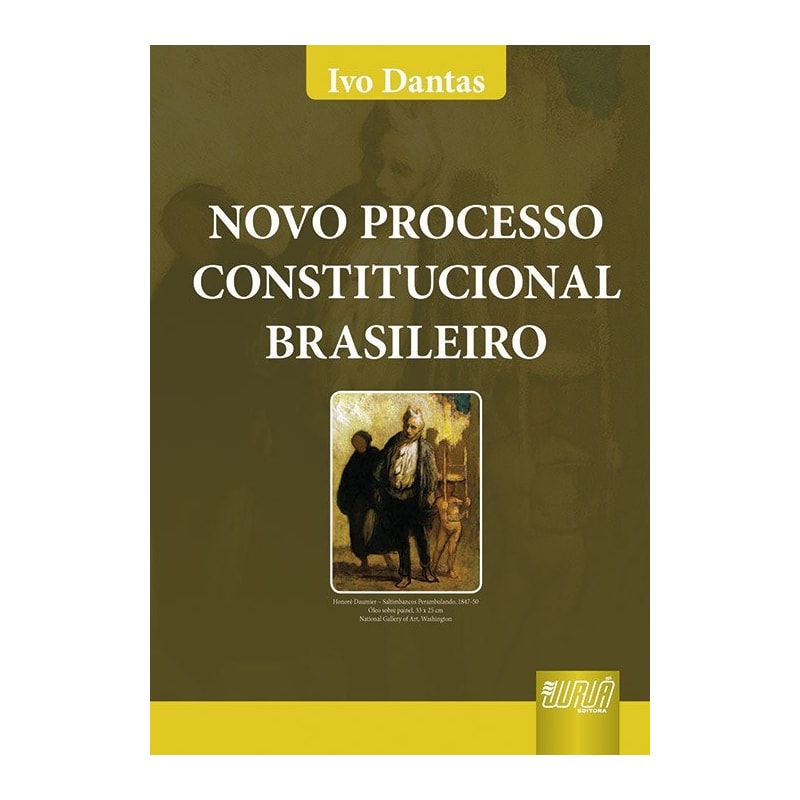 NOVO PROCESSO CONSTITUCIONAL BRASILEIRO