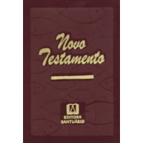 NOVO TESTAMENTO - BOLSO ZÍPER - VINHO