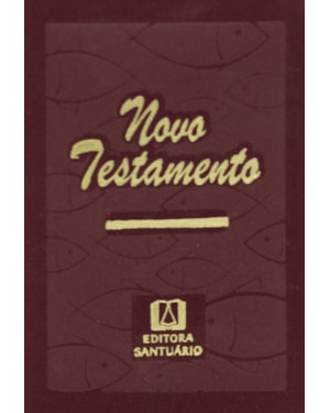 NOVO TESTAMENTO - BOLSO ZÍPER - VINHO
