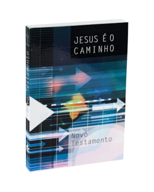 NOVO TESTAMENTO NTLH LETRA GRANDE: NOVA TRADUÇÃO NA LINGUAGEM DE HOJE (NTLH)