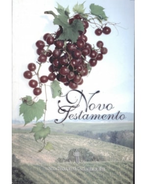 NOVO TESTAMENTO, O - 1