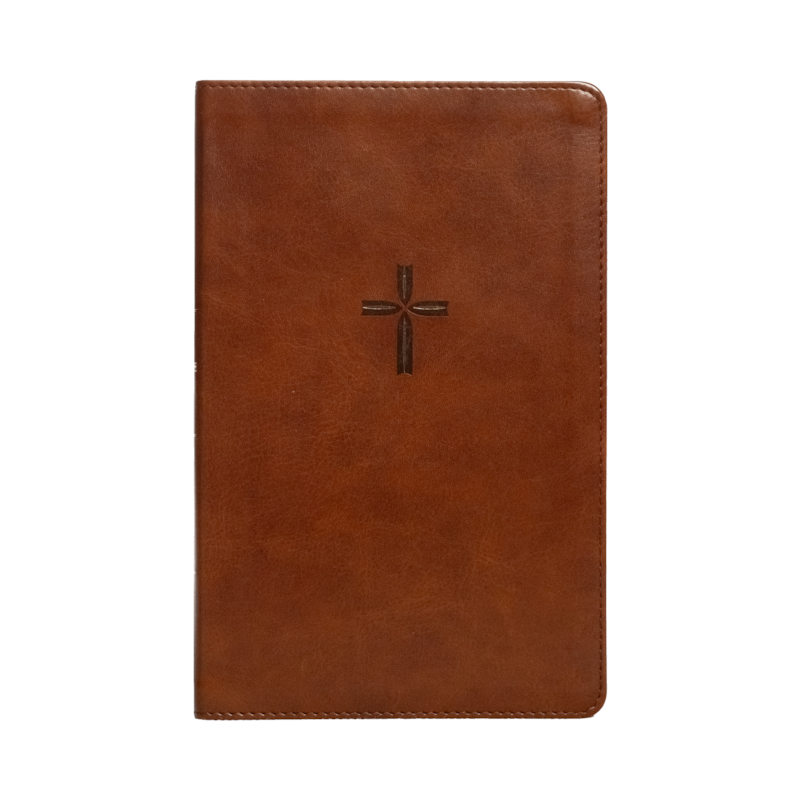 NOVO TESTAMENTO PARA TODOS - UMA NOVA TRADUÇÃO POR N.T. WRIGHT, CAPA LUXO