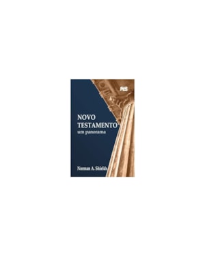 NOVO TESTAMENTO - UM PANORAMA