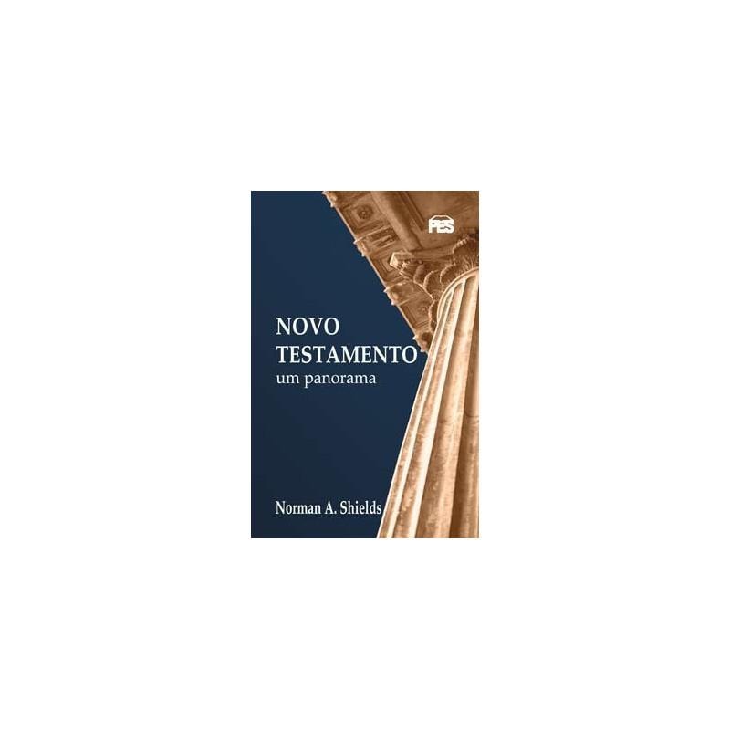 NOVO TESTAMENTO - UM PANORAMA