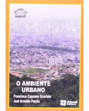 O AMBIENTE URBANO