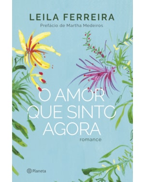 O AMOR QUE SINTO AGORA: ROMANCE