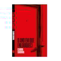 O ANO EM QUE ENLOUQUECI