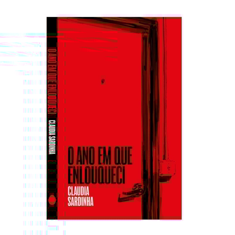 O ANO EM QUE ENLOUQUECI