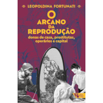 O arcano da reprodução: donas de casa, prostitutas, operários e capital