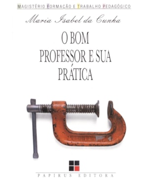 O BOM PROFESSOR E SUA PRÁTICA