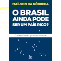 O BRASIL AINDA PODE SER UM PAÍS RICO?: O DESAFIO DA PRODUTIVIDADE